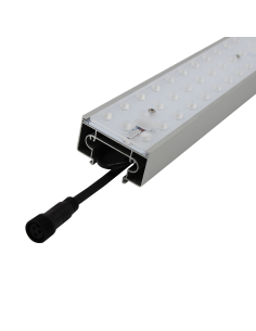 K-Lens Linkable Linear Light 2