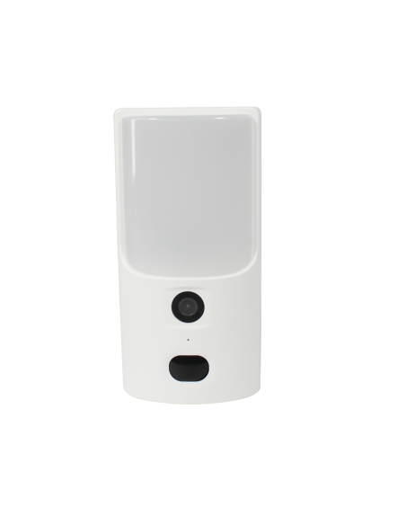 Security Light