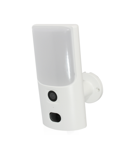 Security Light