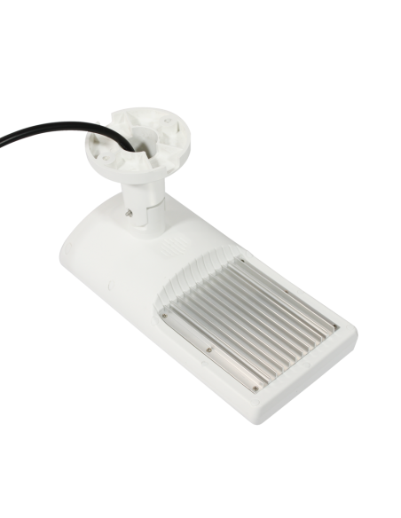 Security Light