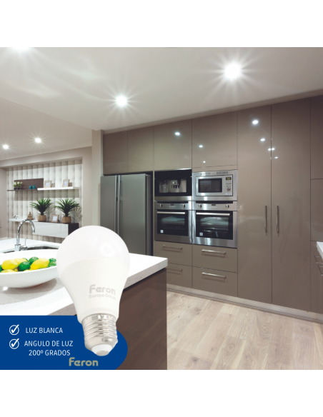 Bombilla Led E27 A60 globo 10w 6400K